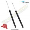 Gas Shocks